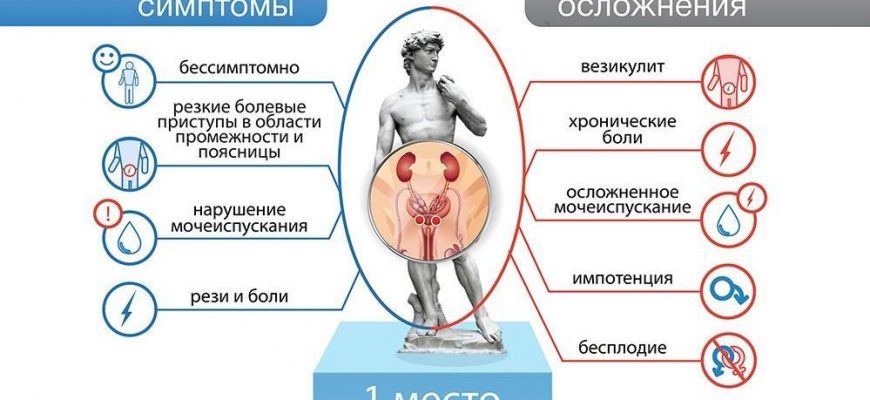 функции простаты